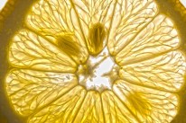 lemon slice in sun